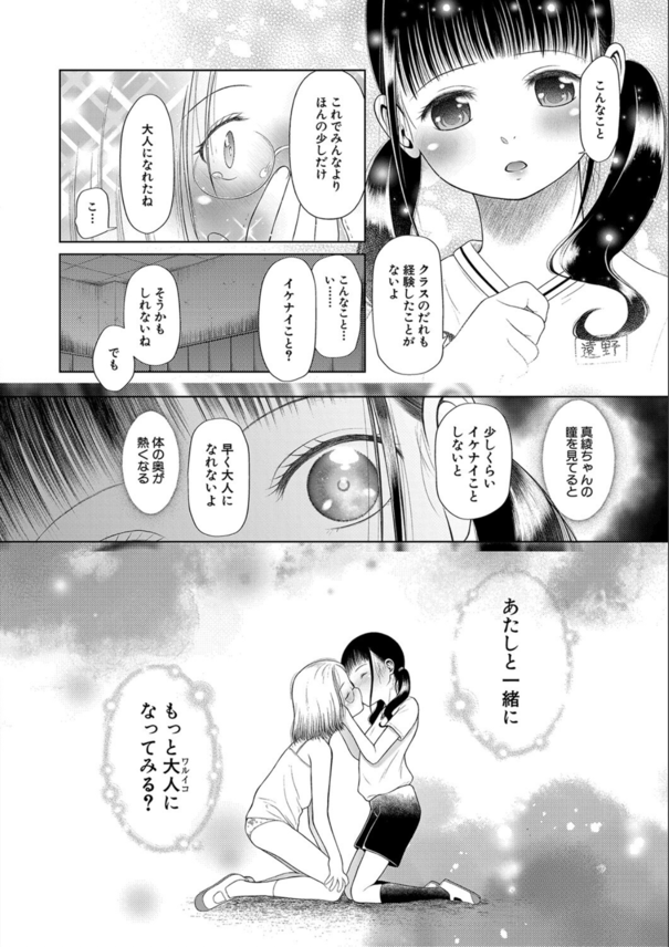 【エロマンガ】泣き叫ぶ少女達と容赦なくヤリまくるって下半身がビンビンしますね！