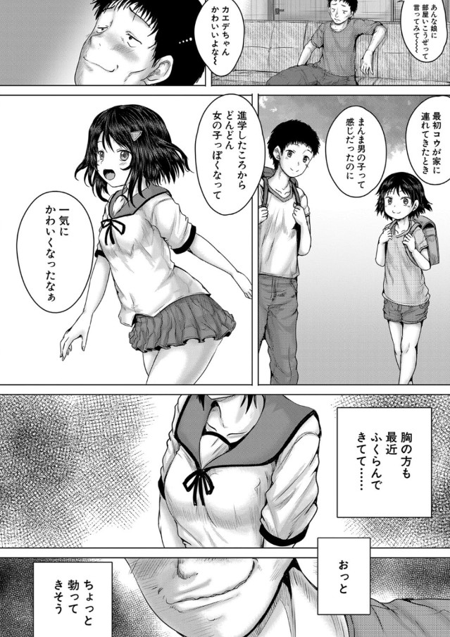 【エロ漫画レイプ】絶望に興奮する！！！ 泣いても、泣いても犯される女の子の運命が…